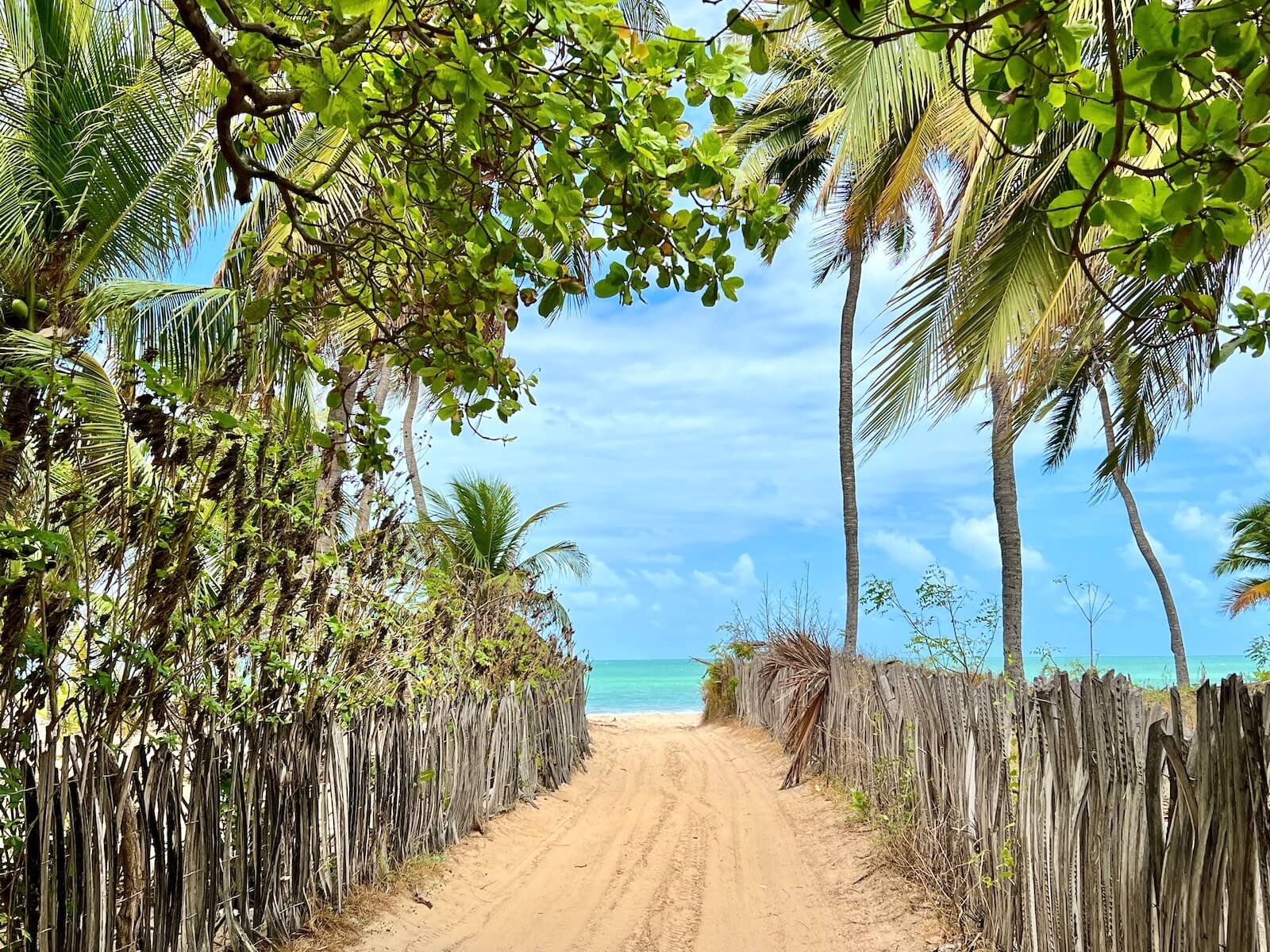 Passeio Icaraizinho de Amontada